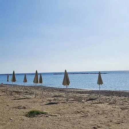 Shanti * Pafos